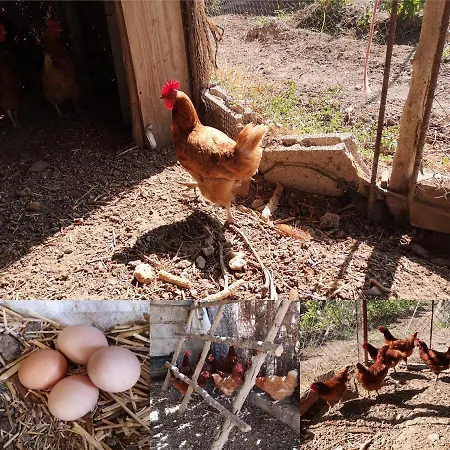 Cortijo Huerta Martin Country house *